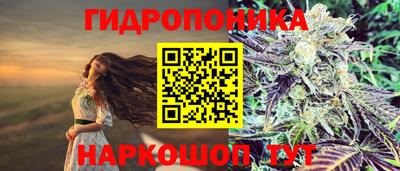 стаф Бузулук