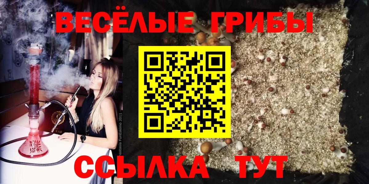 Нефтекамск  Псилоцибиновые грибы GOLDEN TEACHER  Псилоцибиновые грибы мухоморы  Вход с VPN 
