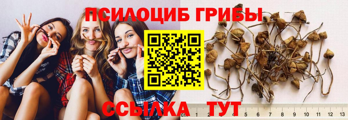 Псилоцибиновые грибы MAGIC MUSHROOMS Нефтекамск